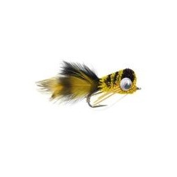 Puffed Up Croaker