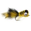 Puffed Up Croaker