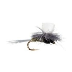 Foam Wing Female Trico Parachute