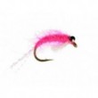 Sockeye Shrimp Pink