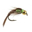 Ales TG Verdina Pheasant