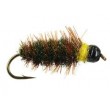 Classic TG Peeping Caddis 10