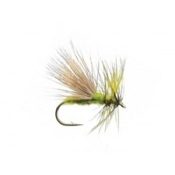 Goober Caddis Olive