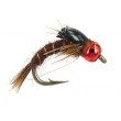 TG Beaver Hole Special  PMD