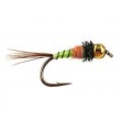 TG ConeHeadatreuse Nymph