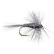 Gray Hackle