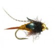 TG Thurmans Zaddis Amber