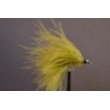 Cats Whisker All Olive