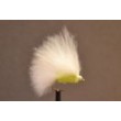 Mini Cats Whisker White & Green