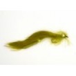 Olive Bunny Leech