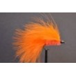 Orange Cats Whisker