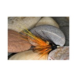 Cascade PBP ConeHead