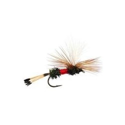 Royal Coachman Parachute