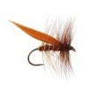Sedge Brown