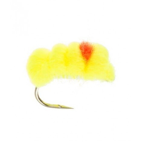Blood dot ConeHeadartreuse cerise