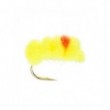 Blood dot ConeHeadartreuse cerise