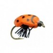 KR Lady Bug