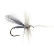 Caddis Dun