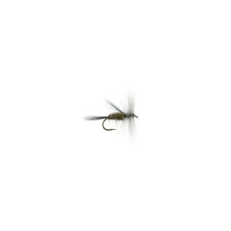 Caddis Gray