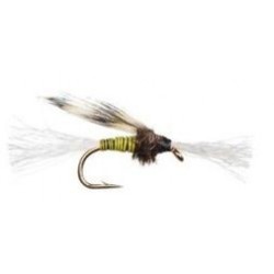 Chironomid Pupa Olive