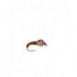 Cove Pheasant tail