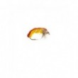 Czech Nymph Hares Ear Amber