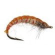 Czech Nymph Red Ribbed