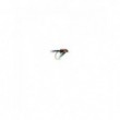 Diawl Bach Black