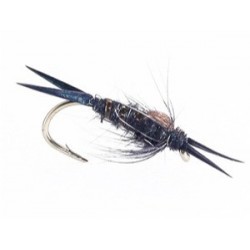 Drakes Steelhead