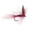 CDC Claret Winged Dry