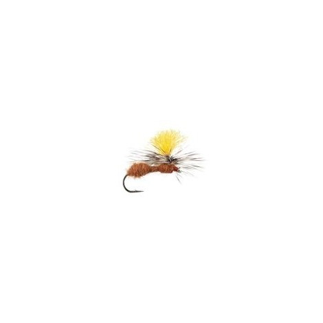 Cinnamon Ant Parachute