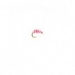 Flashback Pink Shrimp