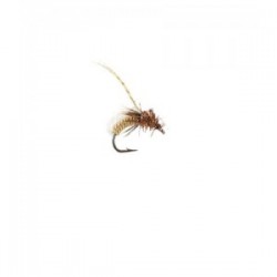 Gallatin Gold Pupa spotted sedge