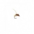 Gallatin Gold Pupa spotted sedge