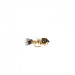 Gold fritz GRHE Nymph