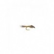 Gold Ribbed Hares Ear