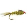 GRHE Olive