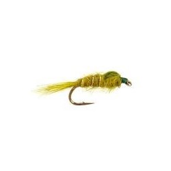 Hares Ear Olive