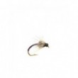 Hatching midge