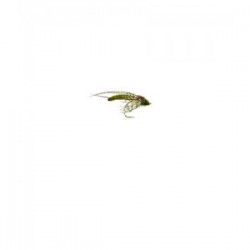 Hatching SP Olive