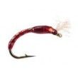 Holo Buzzer Red Gold