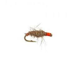 Killer Bug