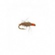 Killer Bug