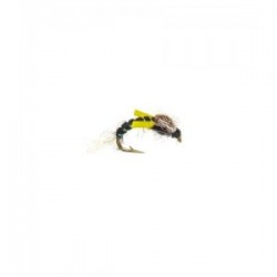 Midge Pupae Black