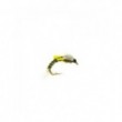 Midge pupae Olive