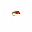 Olive Sedge Pupa