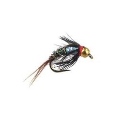 TB Pheasant Rainbow