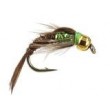 TB Pheasant Verdina